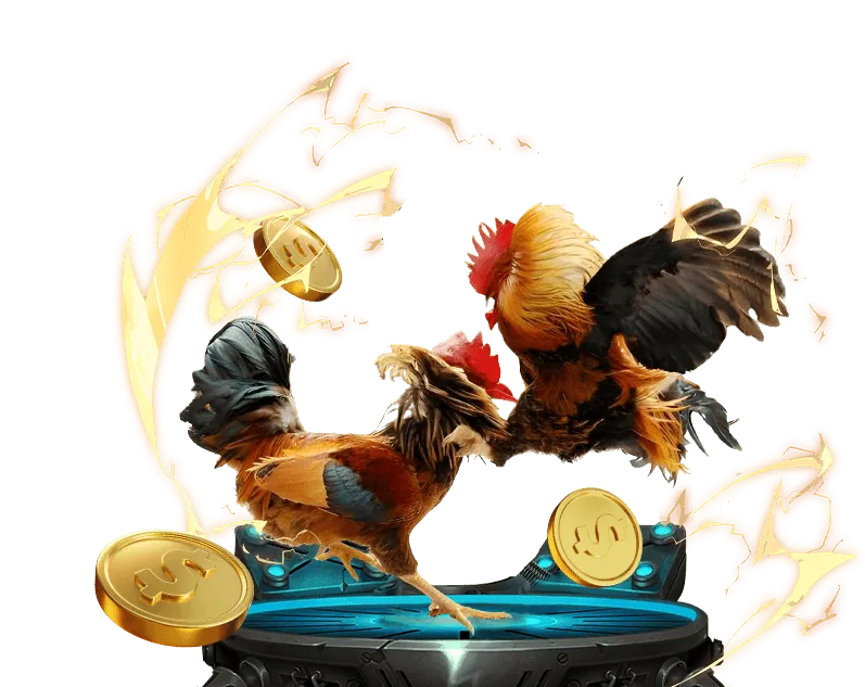 Hoàn trả hàng ngày tại Hubet Com